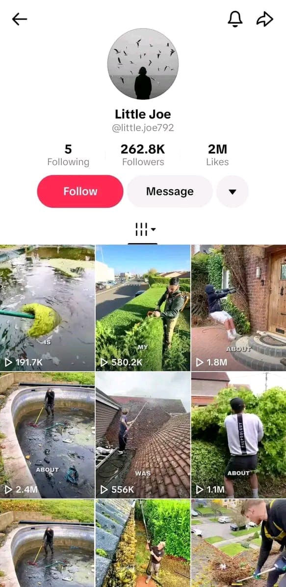 TikTok profile showing 262.8K followers and 2M likes