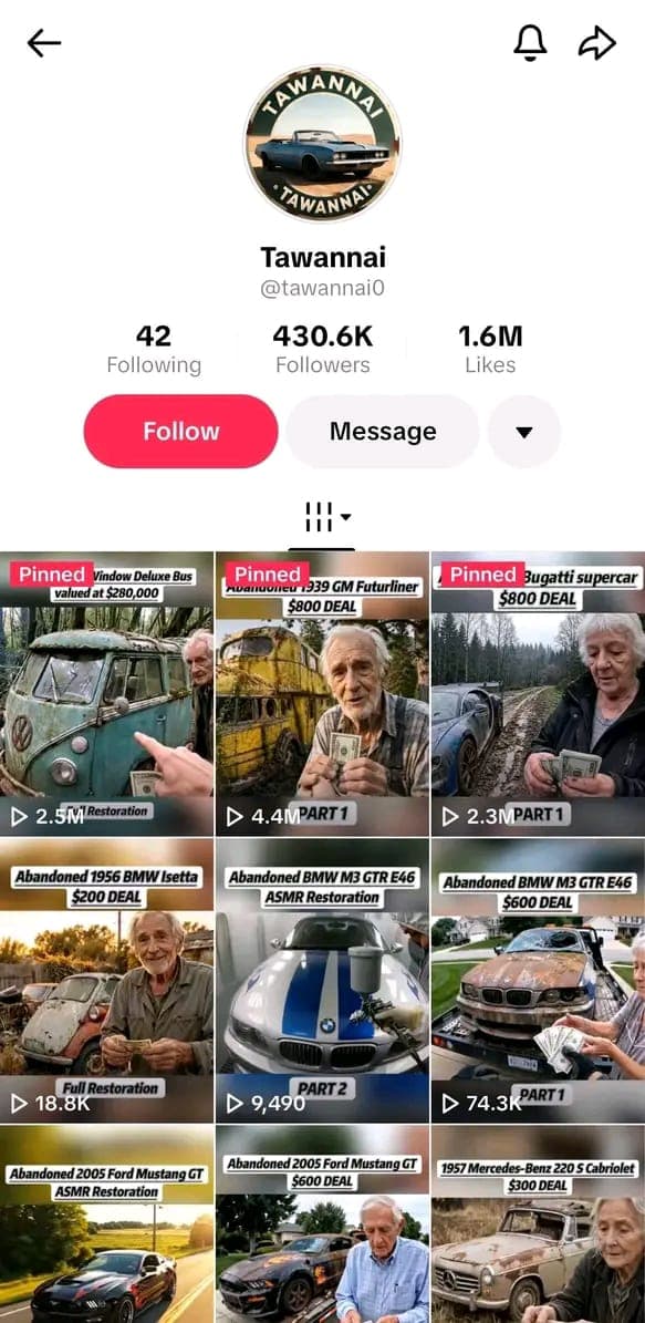 TikTok profile showing 430.6K followers and 1.6M likes